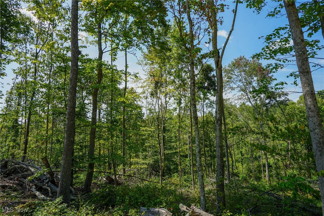 Gallia Blackfork Rd, Oak Hill, Ohio image 11