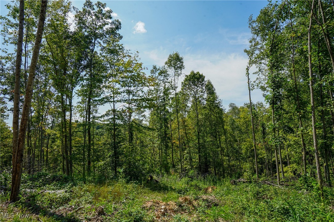 Gallia Blackfork Rd, Oak Hill, Ohio image 12