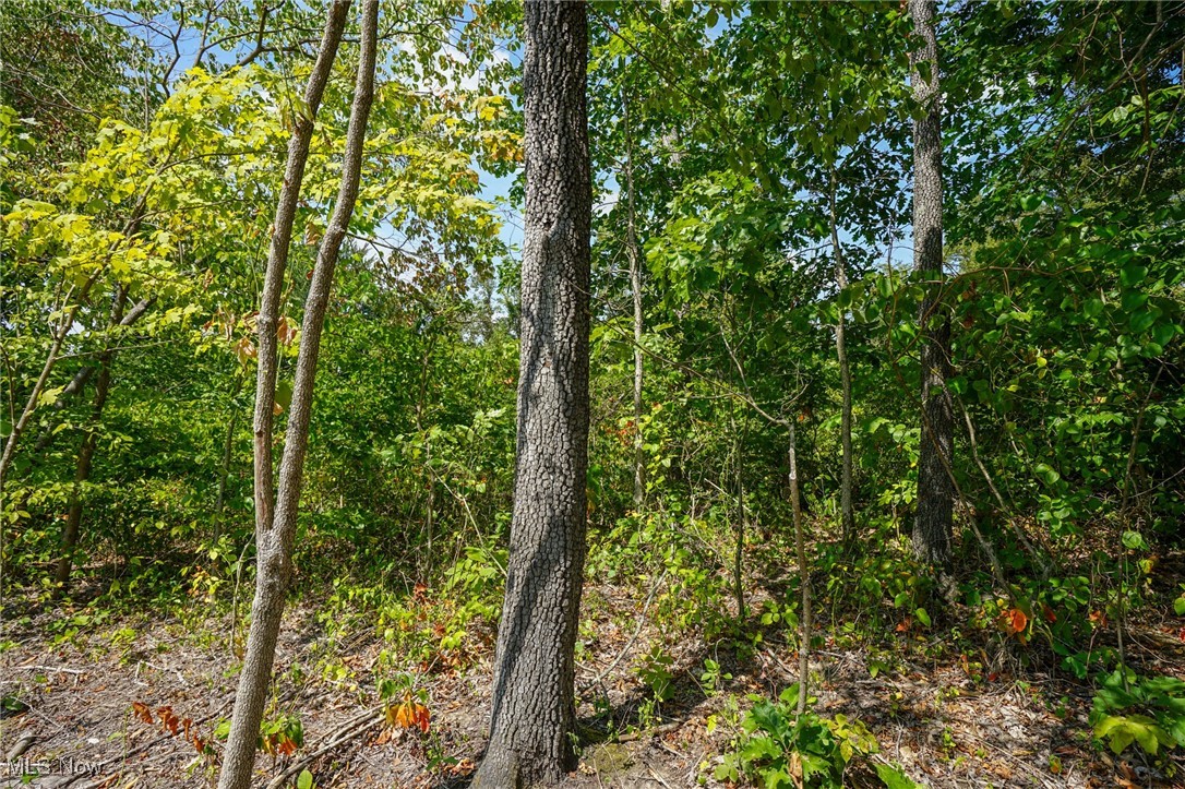 Gallia Blackfork Rd, Oak Hill, Ohio image 16