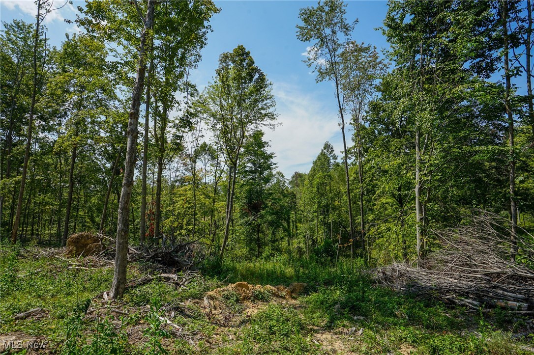 Gallia Blackfork Rd, Oak Hill, Ohio image 10