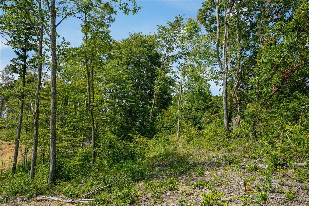 Gallia Blackfork Rd, Oak Hill, Ohio image 17