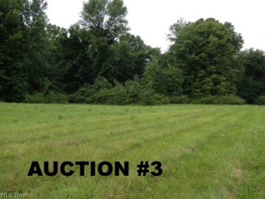 Absolute auction, all sells to the highest bidder on location: WEDNESDAY – SEPTEMBER 17, 2014 – 5:30 PM 3 Ashtabula County Land Parcels
Hartsgrove & Windsor Twps
42+ Acres Total – All Mineral Rights Owned by Seller Transfer – Mini Farm Sites – Tillable Farm Ground – Nature and Hunting Tracts
All Sold from Auction #1 Location
TERMS ON REAL ESTATE: 10% down auction day, balance due at closing. Buyer's premium of 10% to be added to the final bid to establish the purchase price. Any desired inspections must be made prior to bidding. All information contained herein was derived from sources believed to be correct.