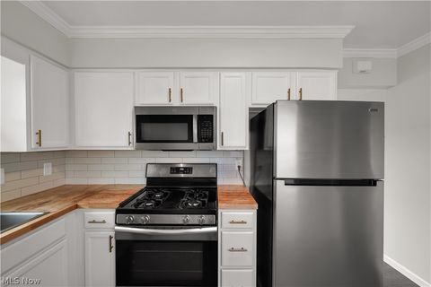 Tiny photo for 12114 Milligan Avenue, Cleveland, OH 44135 (MLS # 5190907)