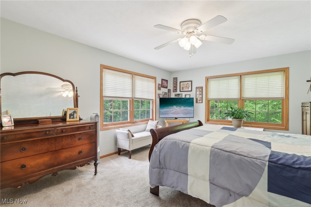 1630 Saint John Drive, Madison, Ohio image 23