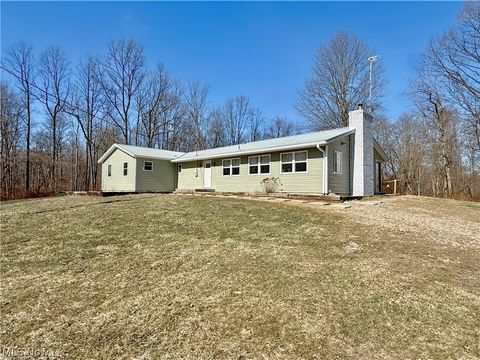 Homes For Sale - 21750 State Route 550<br/> Amesville, OH 45711