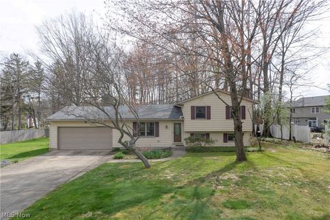 Homes For Sale - 251 S Hametown Road<br/> Summit County, Akron, OH 44321