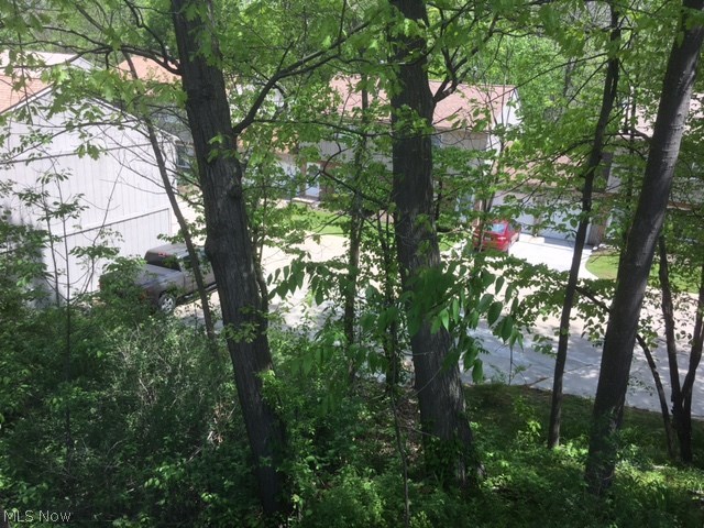 Heisley Condo - Residential Lease