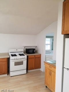 Minerva Rogers Surv - Residential