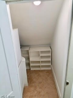 Minerva Rogers Surv - Residential