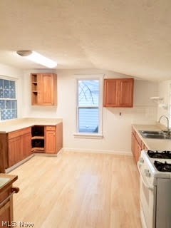 Minerva Rogers Surv - Residential