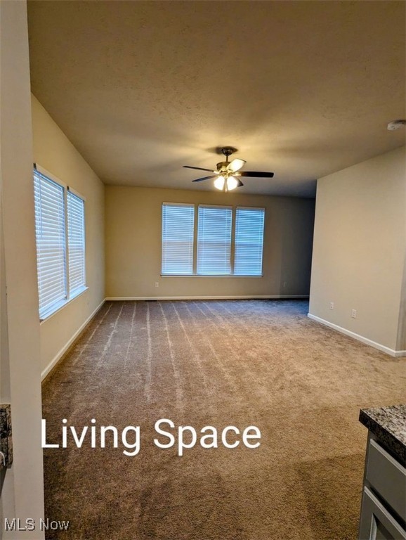 1482 Caymus Court