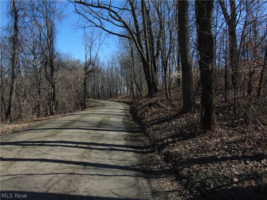 What a find in northern Muskingam county! 17 acres of wildlife wonder. Great road frontage. This coupled with the fact that this property has a nice stand of mature timber with it makes it a must see. Don't wait, This is a great opportunity!