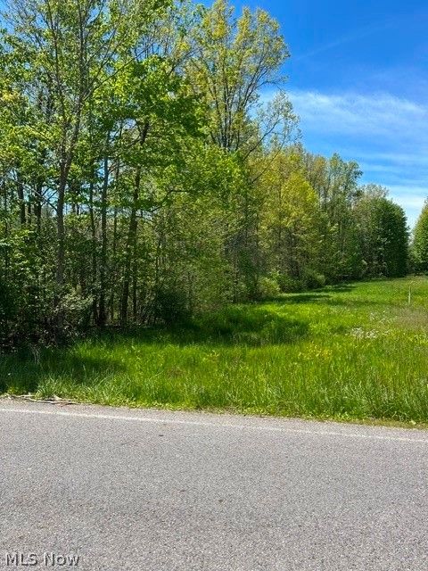 Vacant Land For Sale - 8086 S Raccoon Road<br/> Mahoning County, Canfield, OH 44406