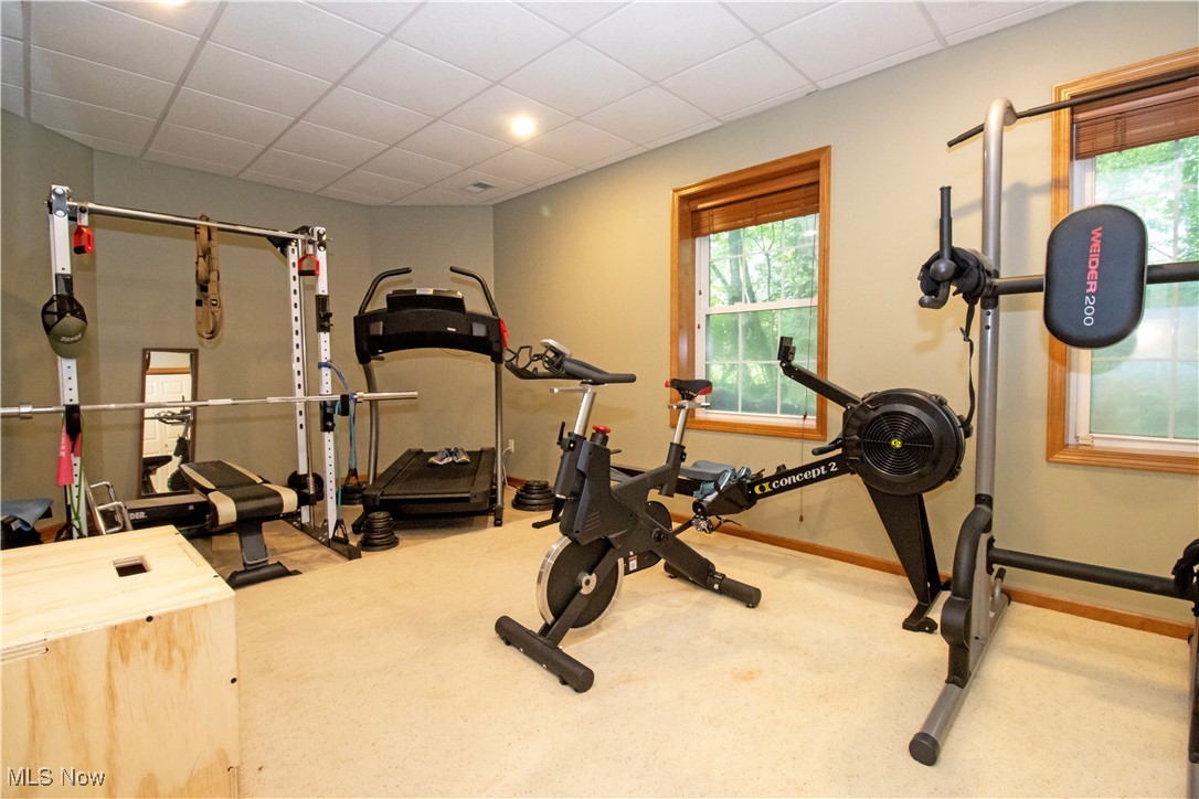 The Meadows - Residential