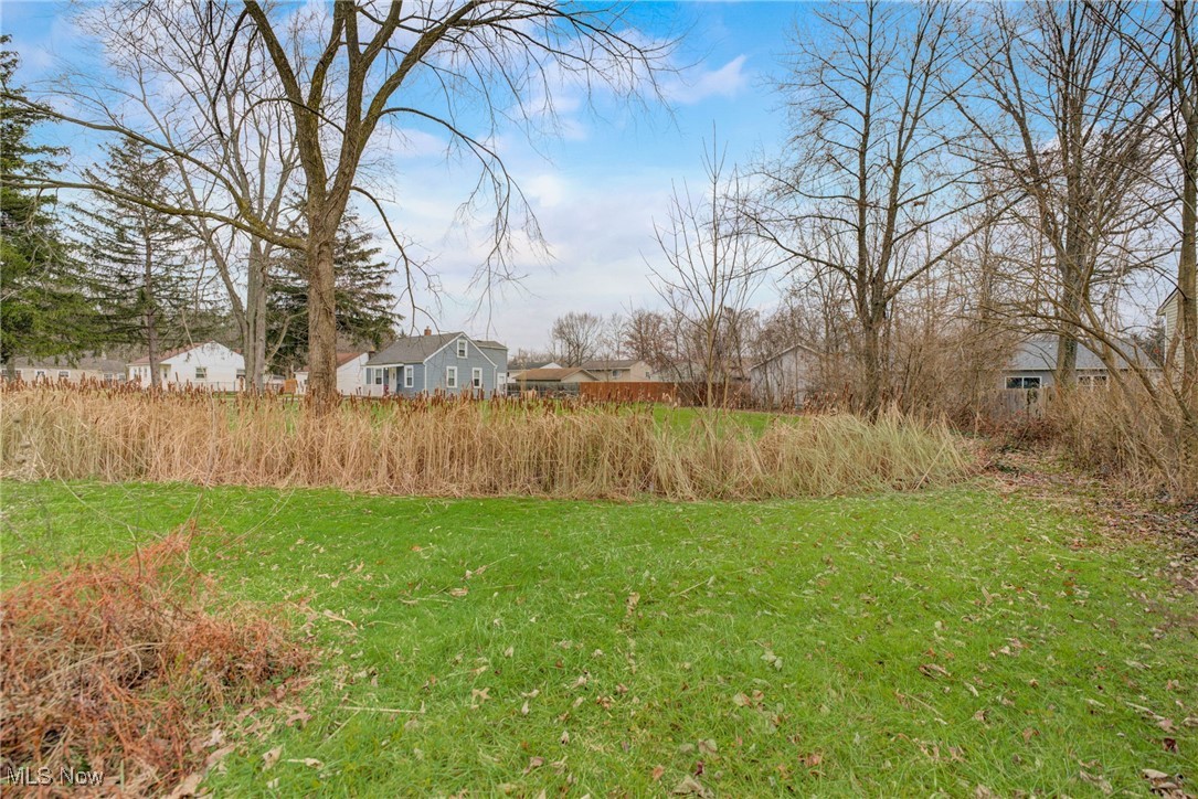 Dupont Drive, Columbia Station, Ohio image 15