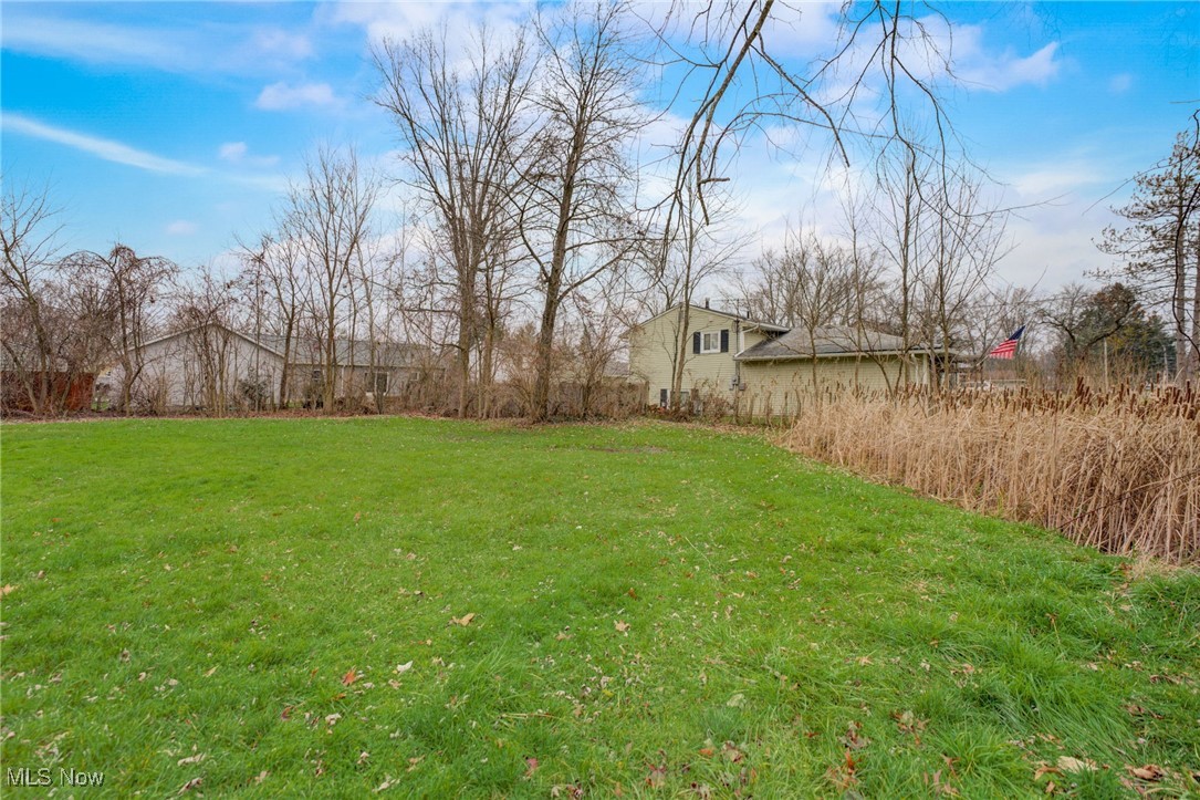 Dupont Drive, Columbia Station, Ohio image 16