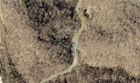 Vacant Land For Sale - W 23rd Street<br/> Bellaire, OH 43906