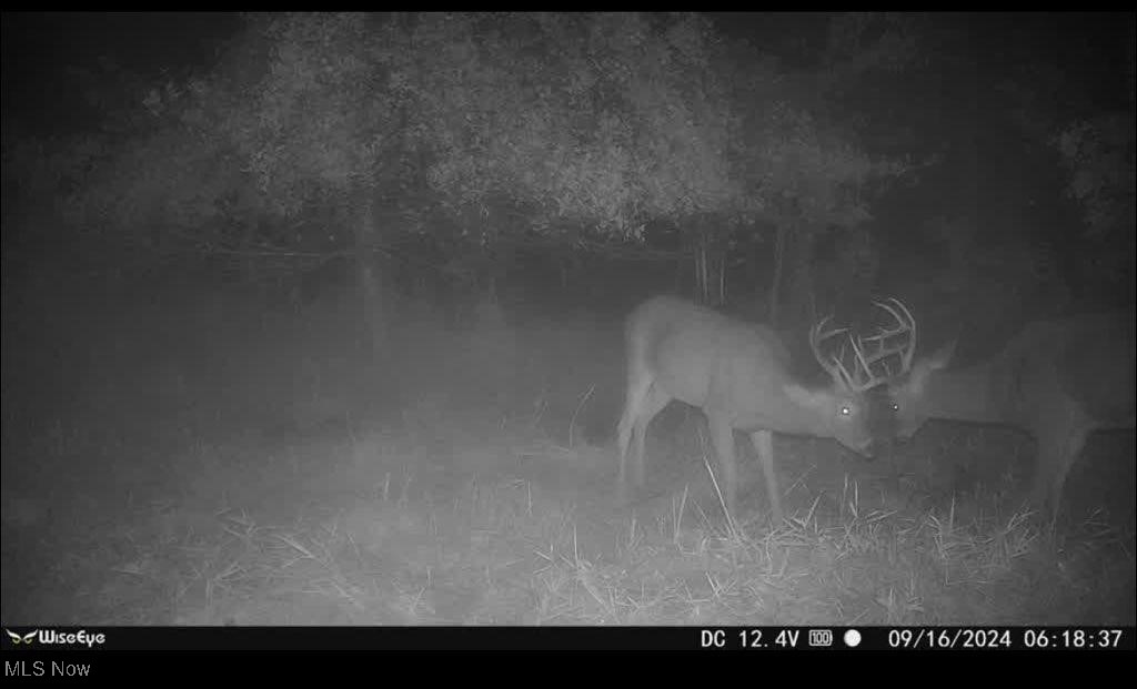 Toker Road, Hopedale, Ohio image 9