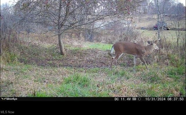 Toker Road, Hopedale, Ohio image 7