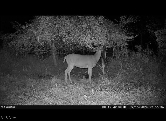 Toker Road, Hopedale, Ohio image 10