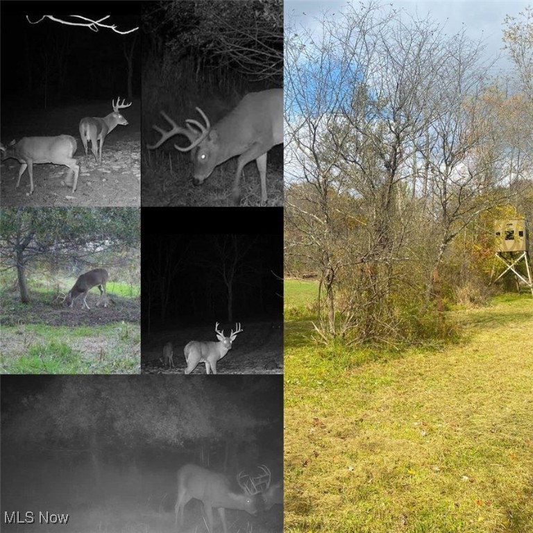 Toker Road, Hopedale, Ohio image 1