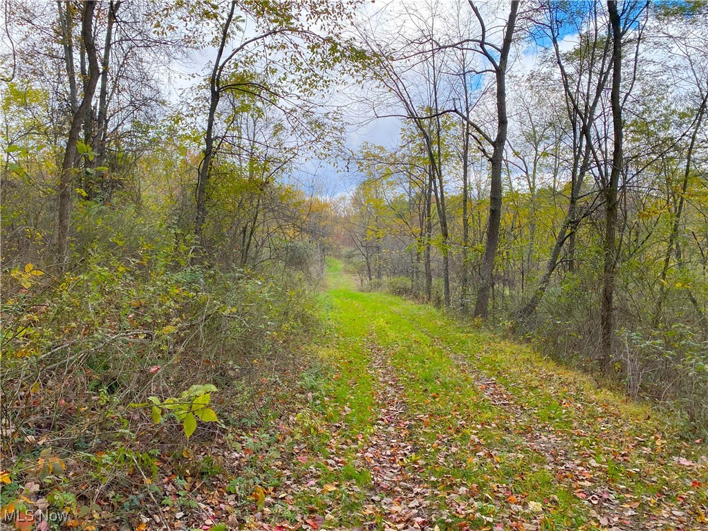 Toker Road, Hopedale, Ohio image 16