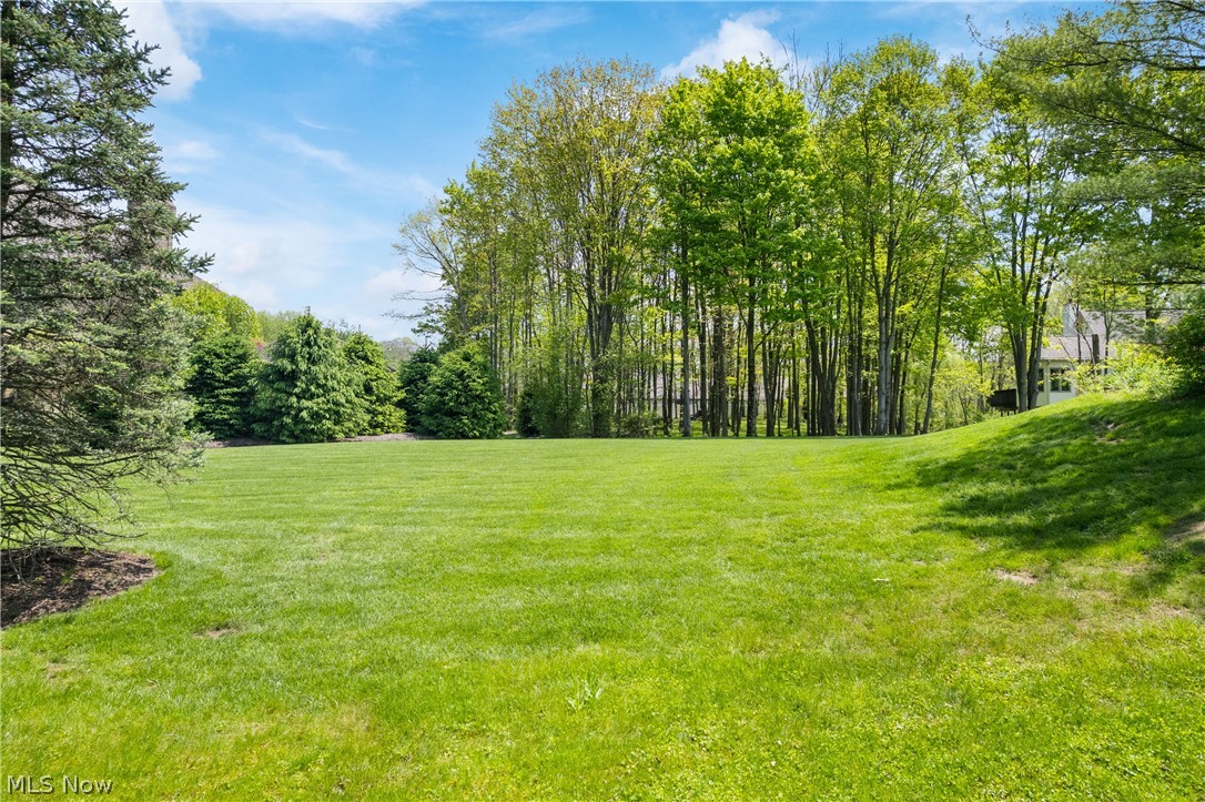 High Hampton - Residential