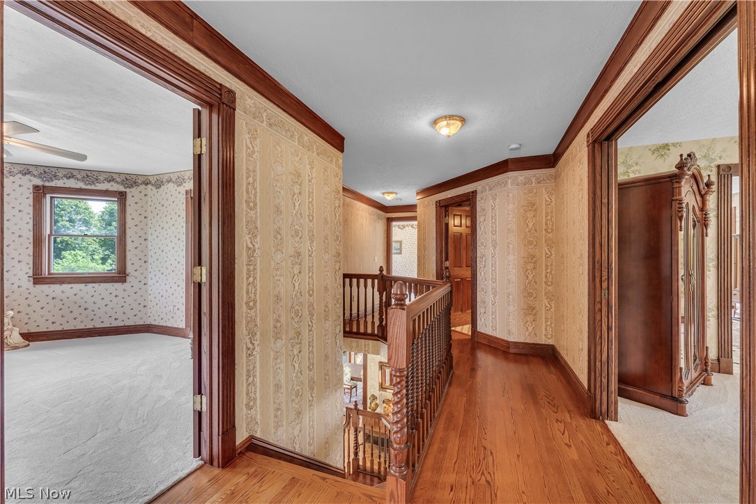 High Hampton - Residential