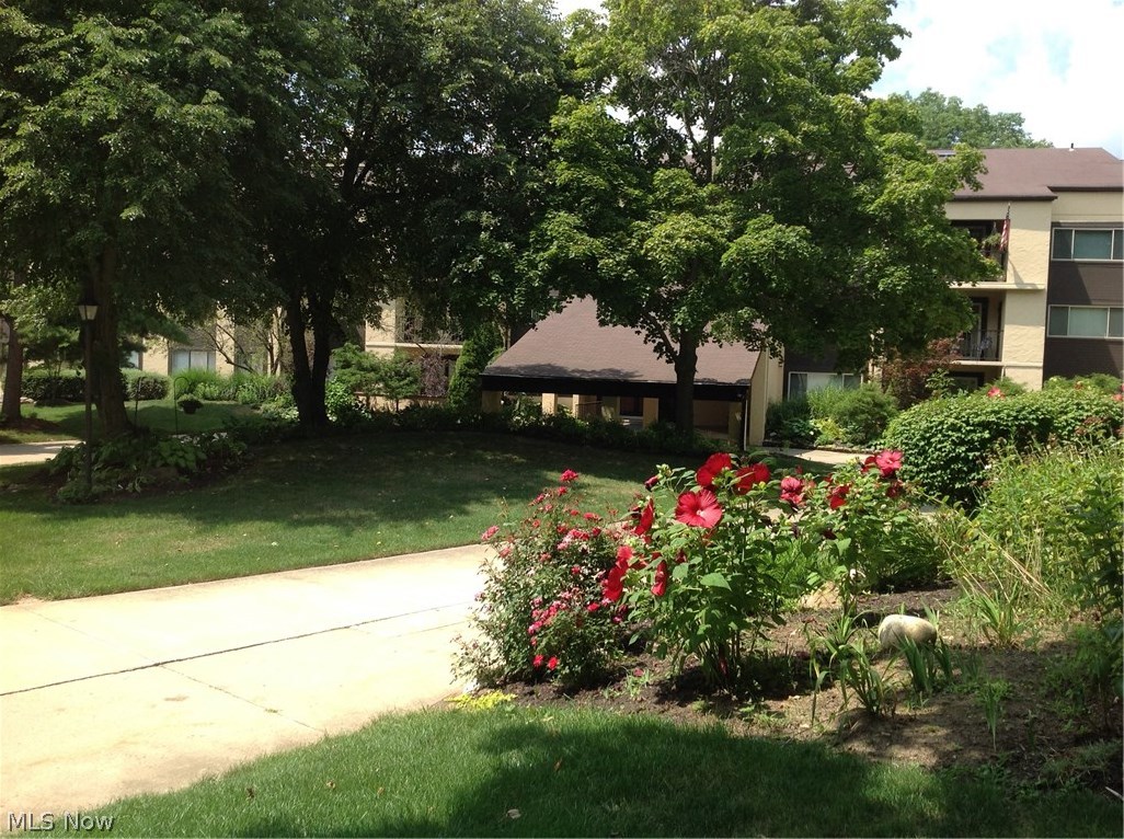 Westwood Village Condo - Residential