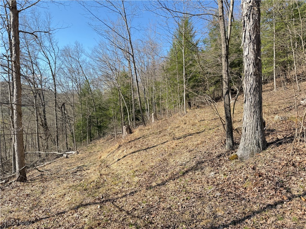 Wooded acreage with hilltop views just outside Wintersville with a mixture of hardwood timber and pines and a small seasonal creek flowing through the Southern end of the property. Offering a great combination of proximity to all modern conveniences of town and close to US-22 for easy access yet only two miles from Fernwood State Forest with over 3,000 acres of public access for outdoor activities like hiking, hunting, fishing and a shooting range. A soil evaluation has been completed on the property. Call today to learn more about this unique tract and to set up a time to see it for yourself!