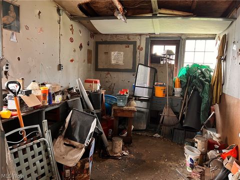 Tiny photo for 189 W Martin Street, East Palestine, OH 44413 (MLS # 5197474)