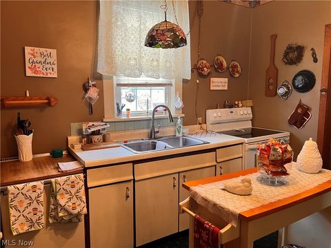 Tiny photo for 189 W Martin Street, East Palestine, OH 44413 (MLS # 5197474)