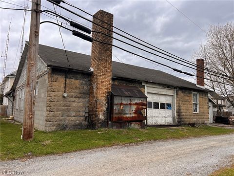 Tiny photo for 189 W Martin Street, East Palestine, OH 44413 (MLS # 5197474)