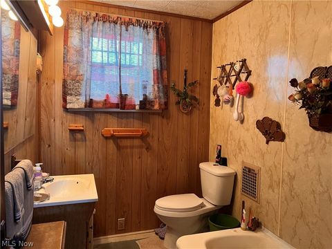 Tiny photo for 189 W Martin Street, East Palestine, OH 44413 (MLS # 5197474)