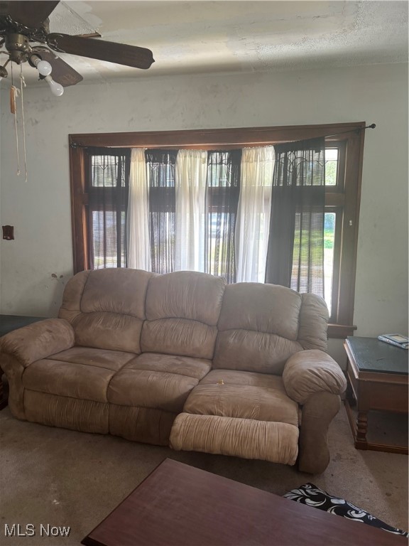 George M Grahams Allotment - Residential