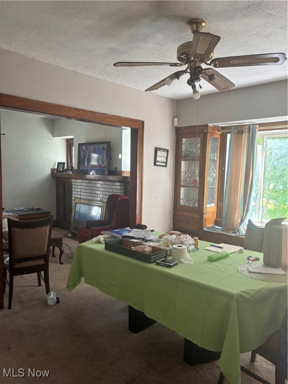 George M Grahams Allotment - Residential