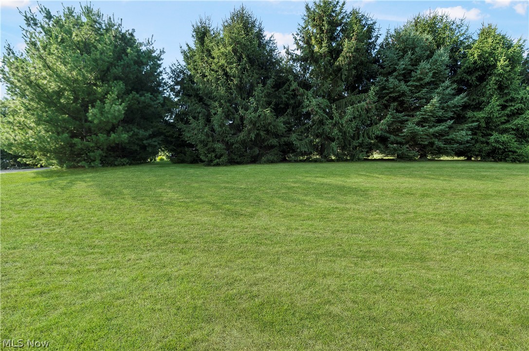 South Laurens Drive - Residential