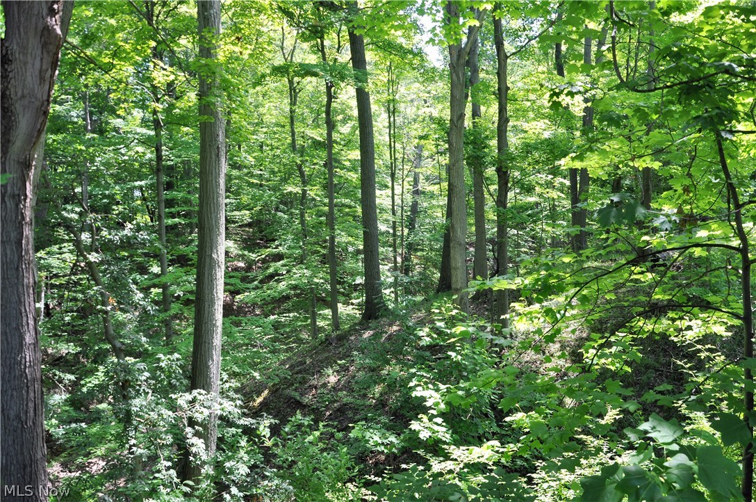 Independence 02 - Residential