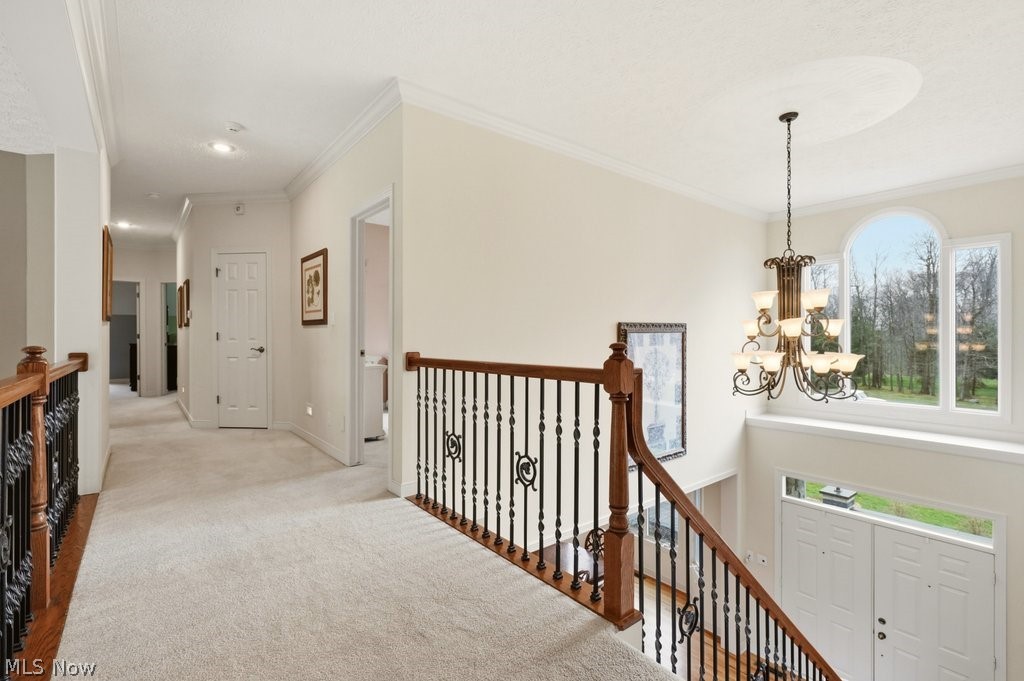 Kings Forest - Residential