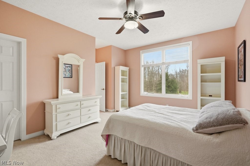 Kings Forest - Residential