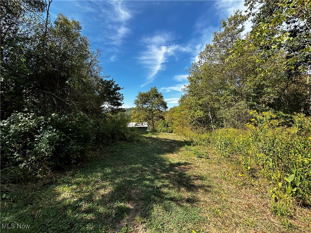 7250 Old Grade Road, Chesterhill, Ohio image 7