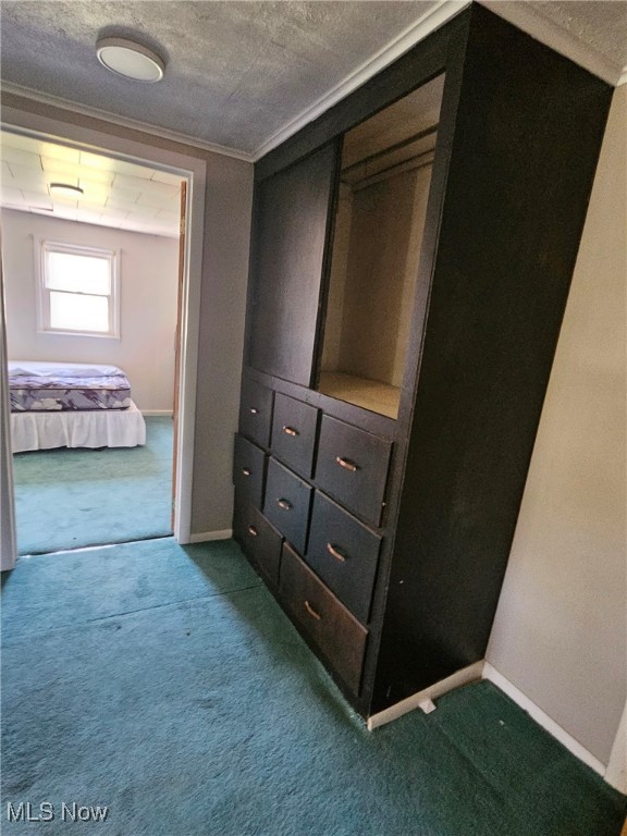 754 Fettro Road, Springfield, Ohio image 13