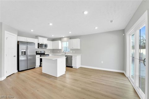 Tiny photo for 113 W Spring Drive, Elyria, OH 44035 (MLS # 5190678)