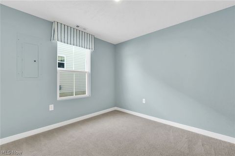 Tiny photo for 113 W Spring Drive, Elyria, OH 44035 (MLS # 5190678)