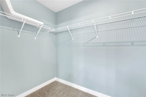 Tiny photo for 113 W Spring Drive, Elyria, OH 44035 (MLS # 5190678)