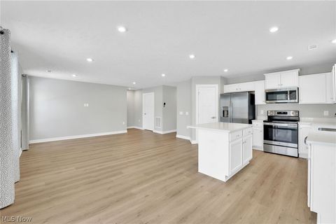 Tiny photo for 113 W Spring Drive, Elyria, OH 44035 (MLS # 5190678)