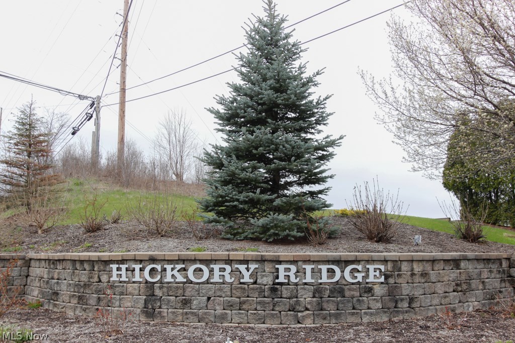 Hickory Rdg - Residential