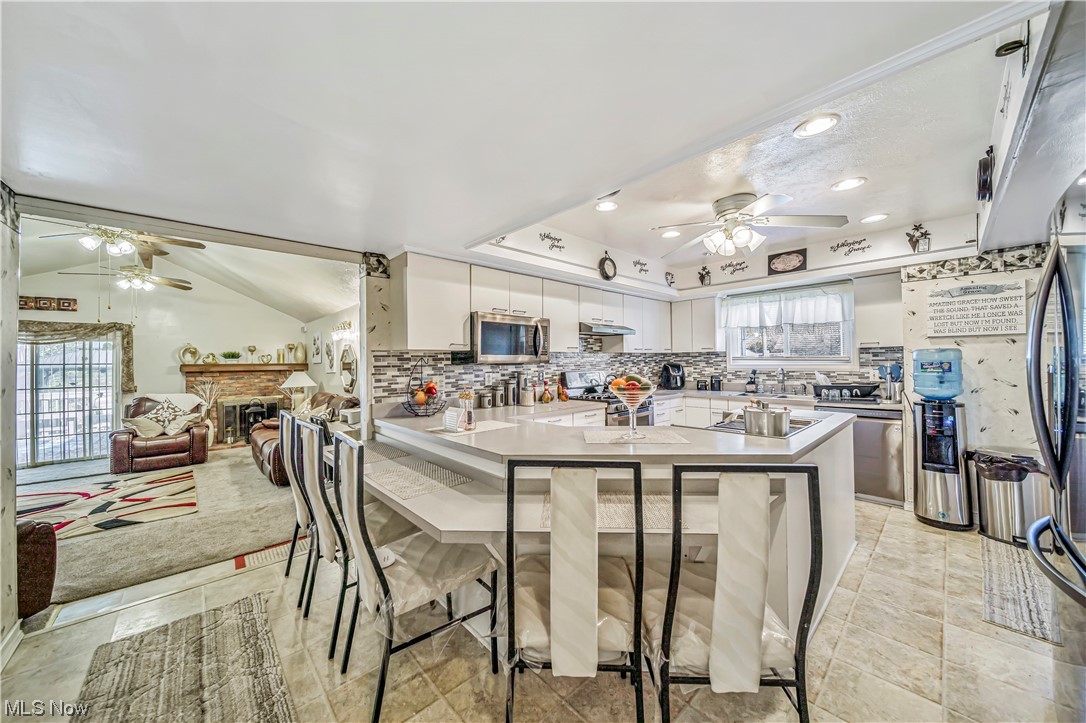 Euclid Manor - Residential