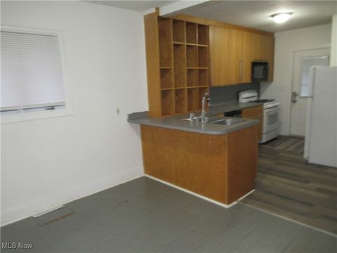 Tiny photo for 3754 W 130th Street, Cleveland, OH 44111 (MLS # 5178375)