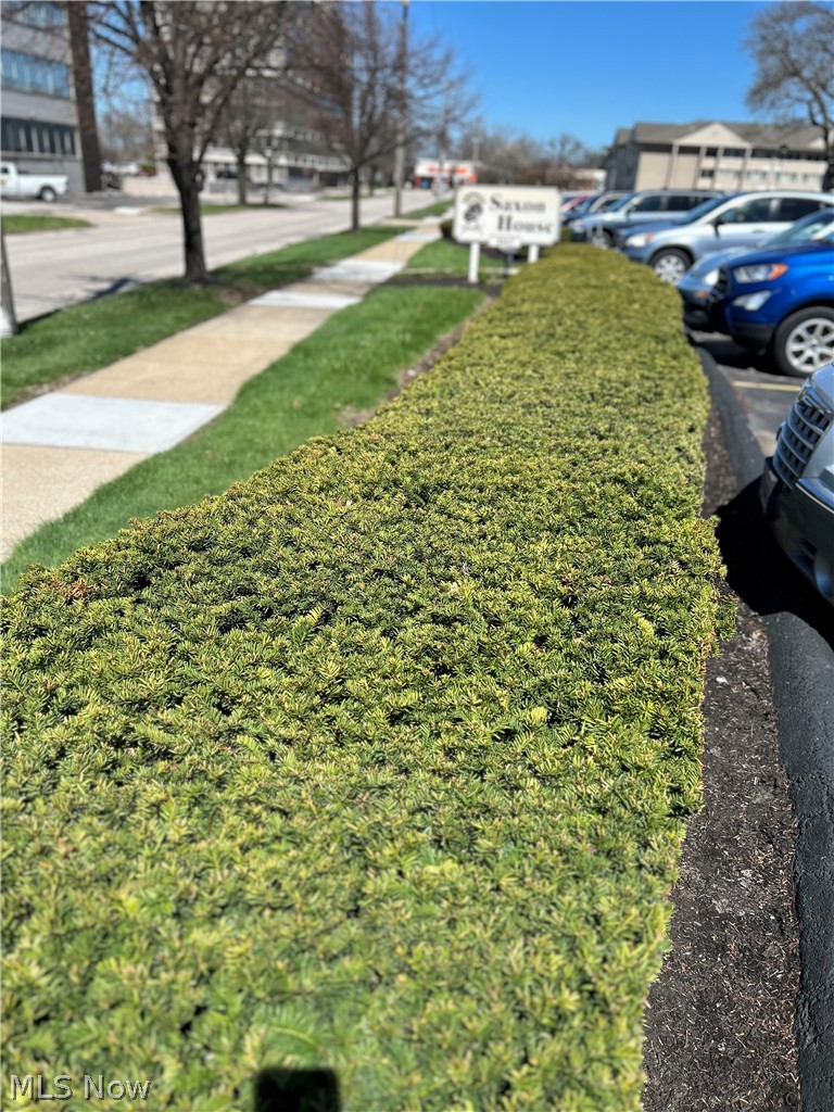 Saxon House Condo - Residential